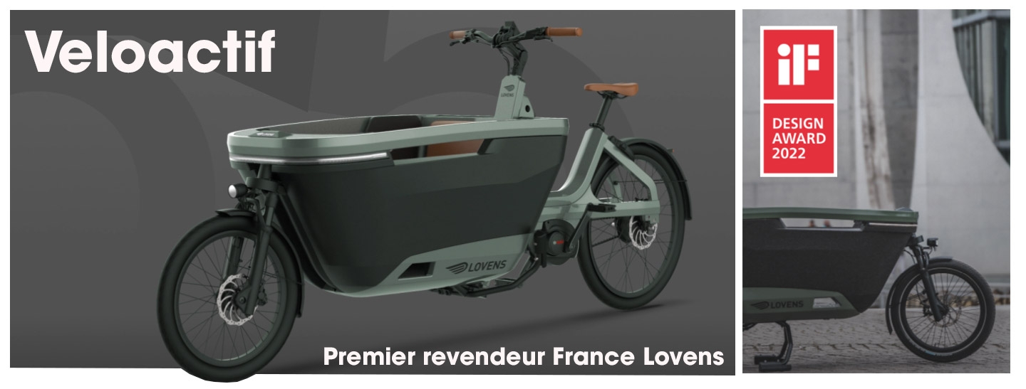Bicicleta de carga elétrica