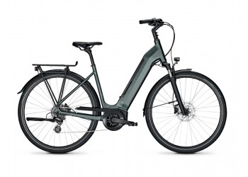 Vélo électrique Endeavour 3.B Move 2020