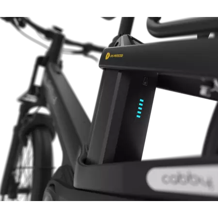 Vélo longtail électrique Cabby 380 | Gazelle, Vélo électrique Winora, Veloactif