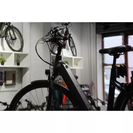 Vélo électrique QUADRIGA COMP BELT CX5 Monotube Kettler, Vélo électrique Winora, Veloactif