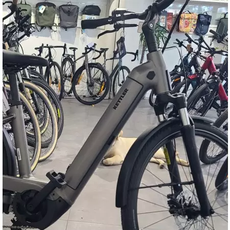 Vélo électrique QUADRIGA P10 Monotube Kettler, Vélo électrique , Veloactif