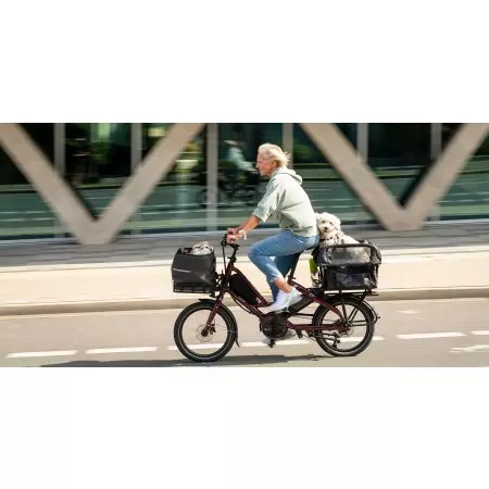 Quick Haul D8, Vélo électrique Tern, Veloactif