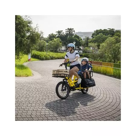 Vélo cargo électrique longtail GSD S10 LR TERN 2023, Vélo électrique Tern, Veloactif