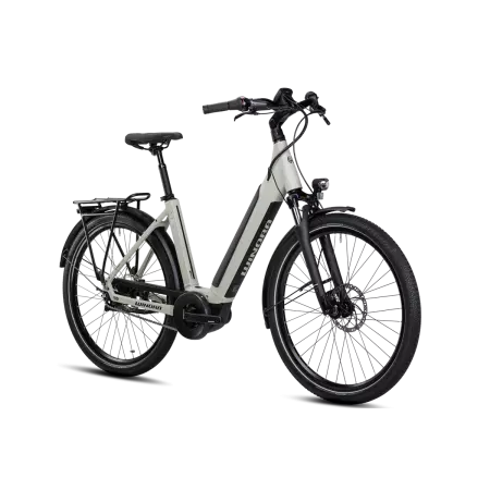 Vélo électrique Sinus N5 eco cadre monotube 2023 WINORA, Vélo électrique Winora, Veloactif