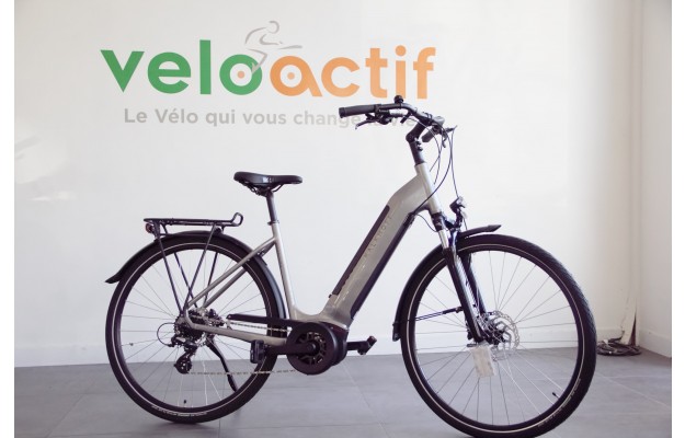 Vélo électrique Endeavour 3.B Move 2020