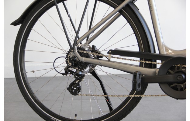 Vélo électrique Endeavour 3.B Move 2020