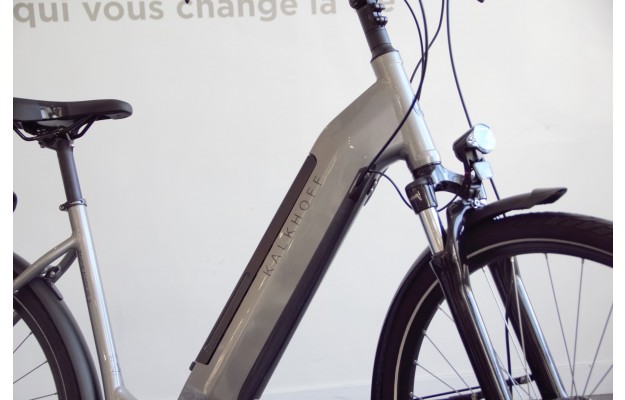 Vélo électrique Endeavour 3.B Move 2020