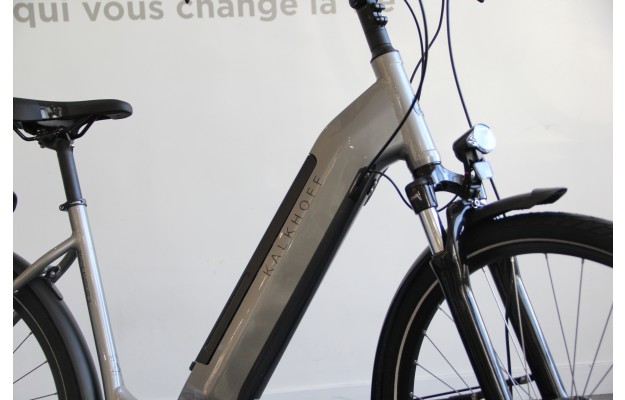 Vélo électrique Endeavour 3.B Move 2020